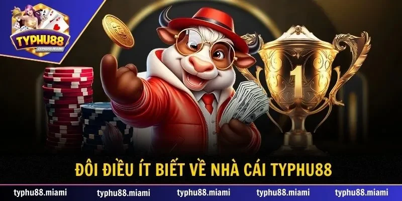 Đôi điều về nhà cái Typhu88